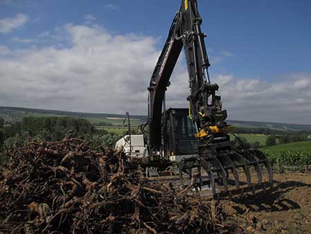 Arrachage de souches de vignes Damery