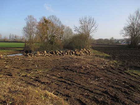 Travaux de débroussaillage Epernay